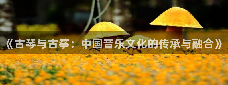 凯发官网|认准kpm：《古琴与古筝：中国音乐文化的传承与融合