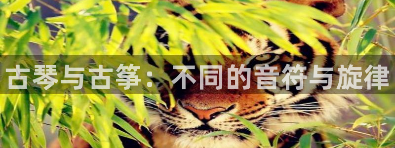 凯发官网下载客户端