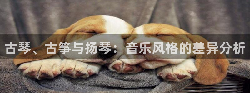 凯发k8手机网页：古琴、古筝与扬琴：音乐风格的差异分析