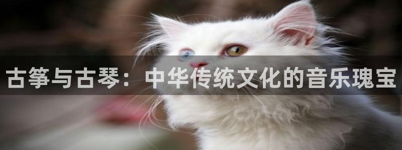 凯发k8娱乐现在还有吗：古筝与古琴：中华传统文化的音乐瑰宝