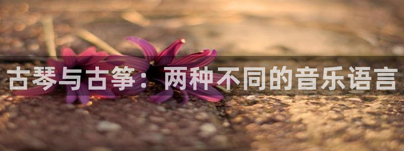 凯发官网登录地址陆地：古琴与古筝：两种不同的音乐语言