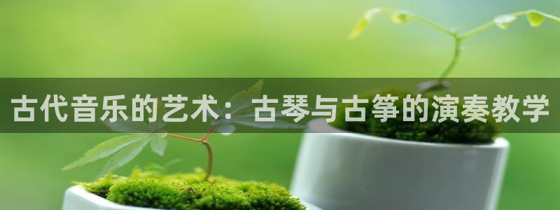 凯发k8登录首页：古代音乐的艺术：古琴与古筝的演奏教学