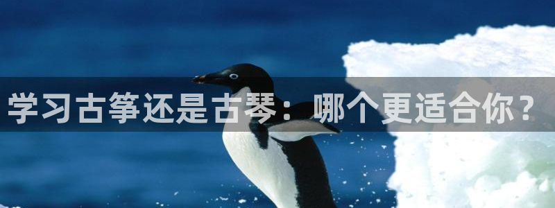 凯发k8官方网娱乐官方真