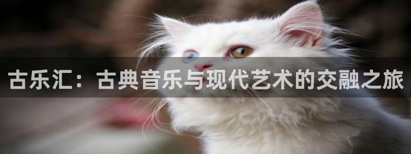 k8凯发是做什么的