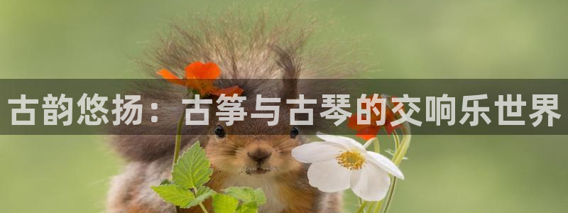 凯发k8天生赢家·一触即发