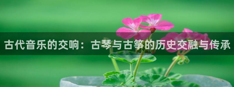 凯发娱网址是什么