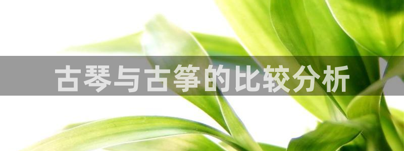 凯发平台开户：古琴与古筝的比较分析