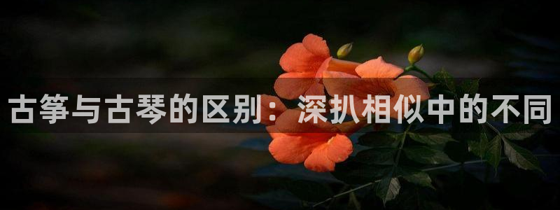 凯发k8娱乐旗舰app下载