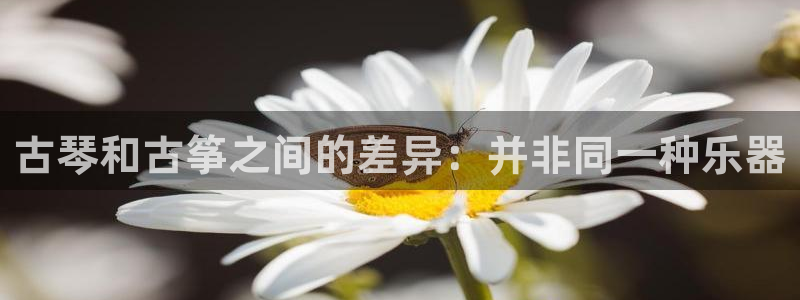凯发k8全球公开加盟