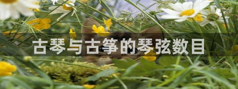 凯发k8娱乐