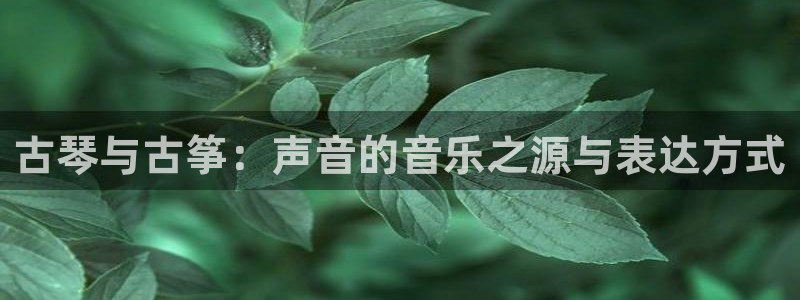 凯发旗舰厅：古琴与古筝：声音的音乐之源与表达方式