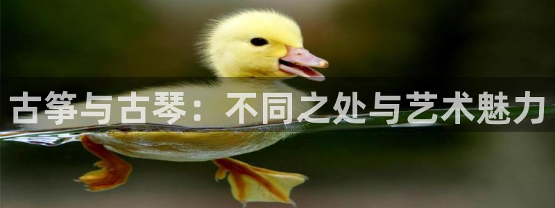 凯发k8旗舰店