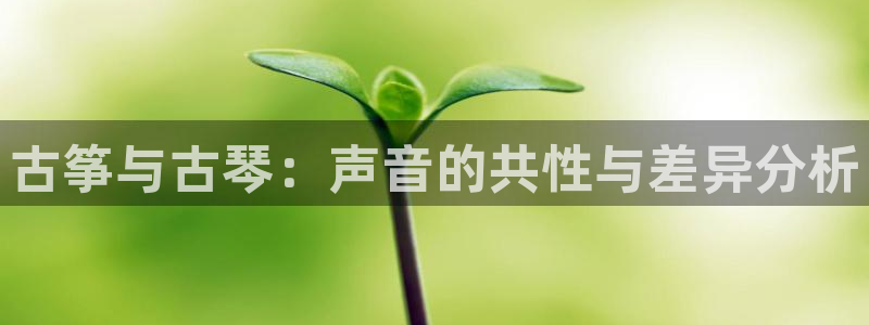 凯发官网地址