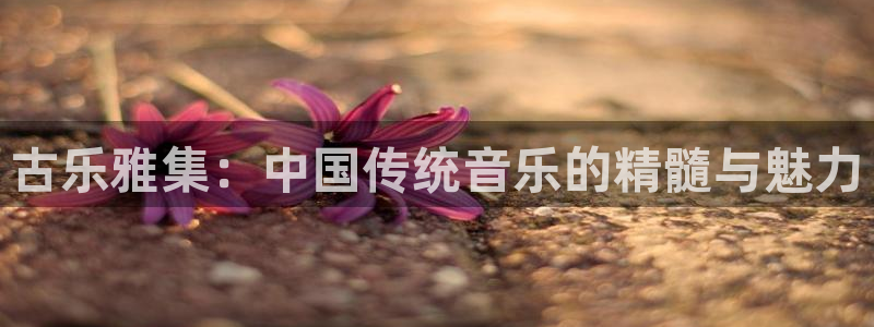 凯发k8娱乐官方版fxzls -安卓3.5：古乐雅集：中国传