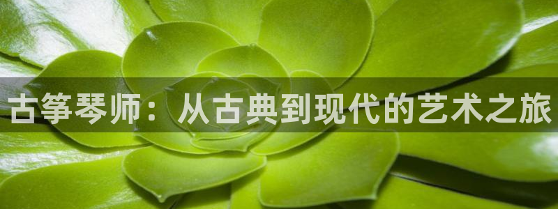 凯发k8娱乐官方版fxzls -安卓3.5：古筝琴师：从古典