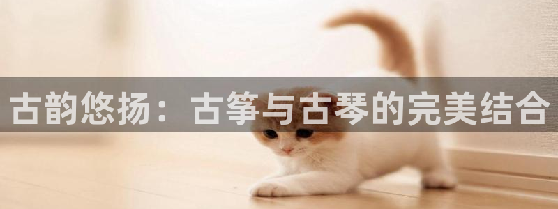 凯发是正规平台吗：古韵悠扬：古筝与古琴的完美结合